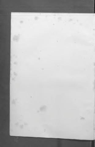 Open original 数字对象