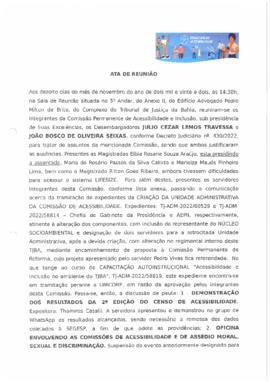 0-1-1-1-32-a-t-a Ata da reunião da Comissão Permanente de Acessibilidade e Inclusão - 18 de novem...